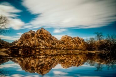 Joshua Tree